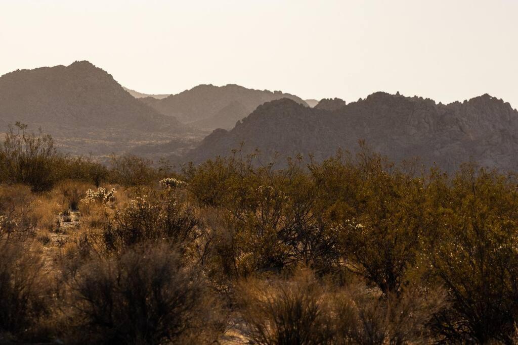 Panoramic Heaven - Luxury Designer Property W Spa Joshua Tree Exterior photo